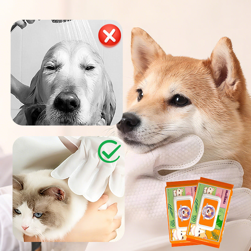Pet Cleaning Glove Wipes