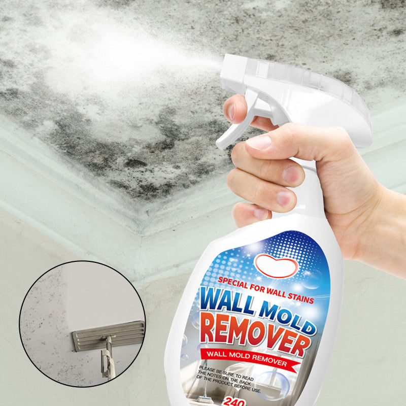 Mold Remover Spray for Walls