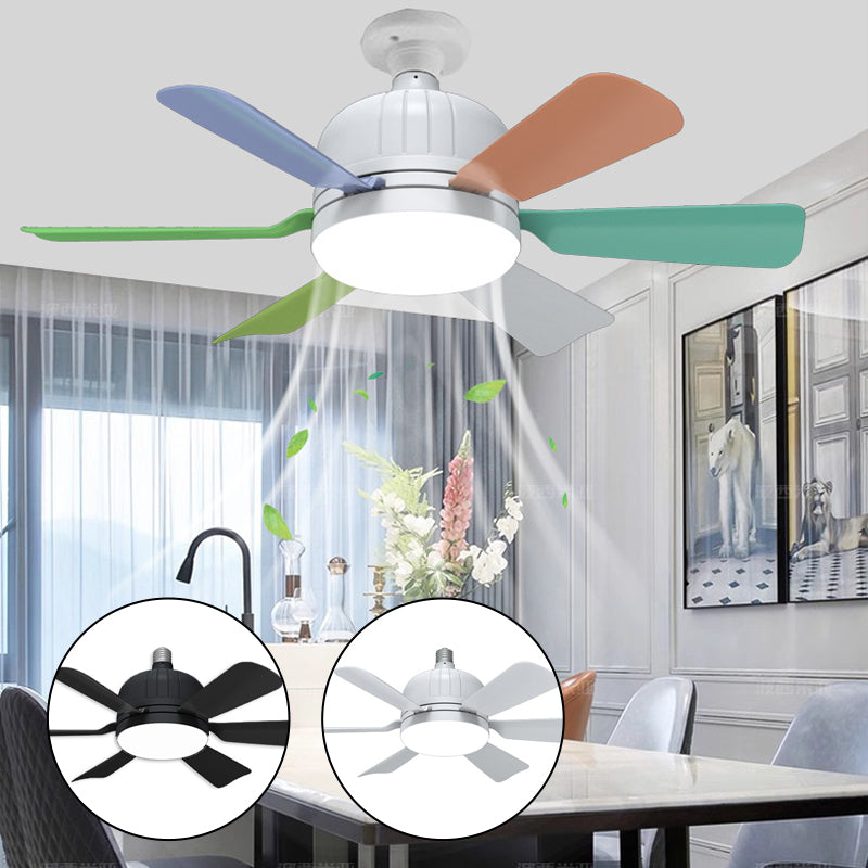 Ceiling Fan with LED Light