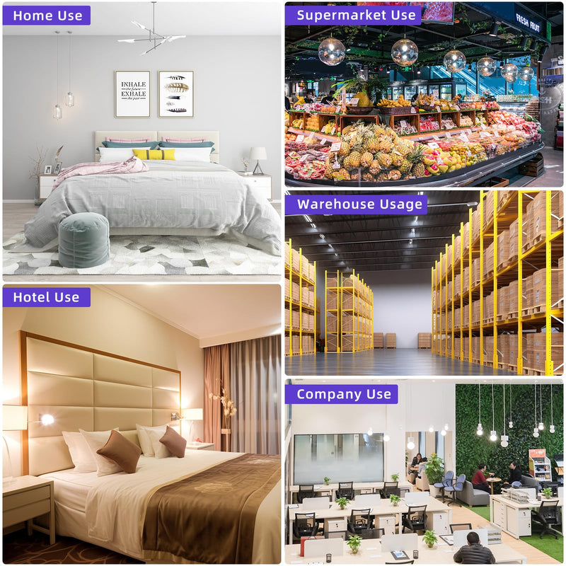 Plug-in Flying Insect Trap with LED Light