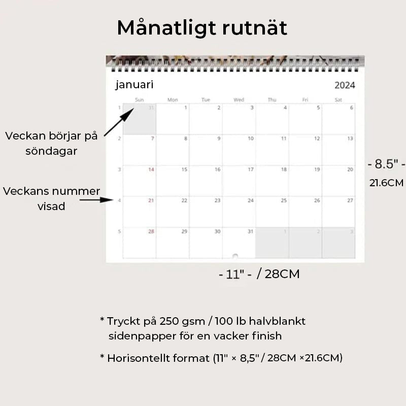 Jesus kalender 2024