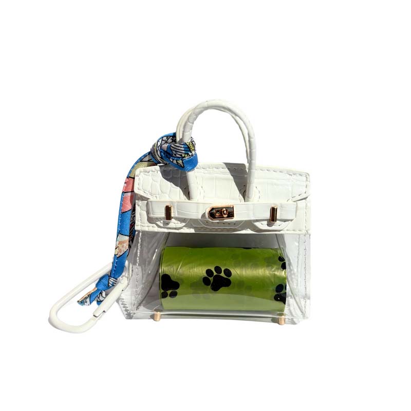 Trendy Mini Transparent Key Case