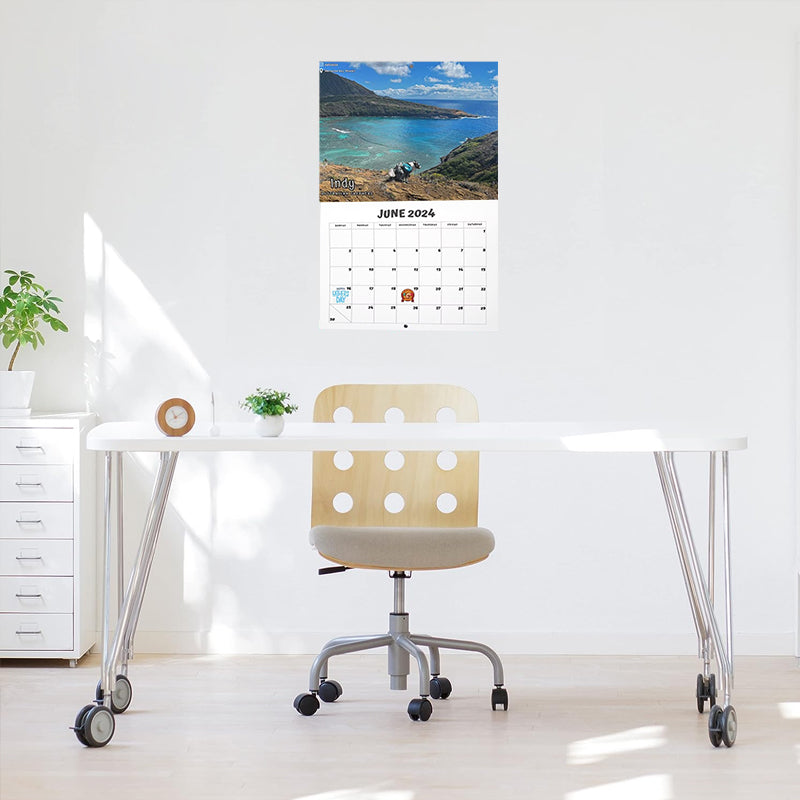 2024 Hundar Bajsar På Vackra Platser Kalender
