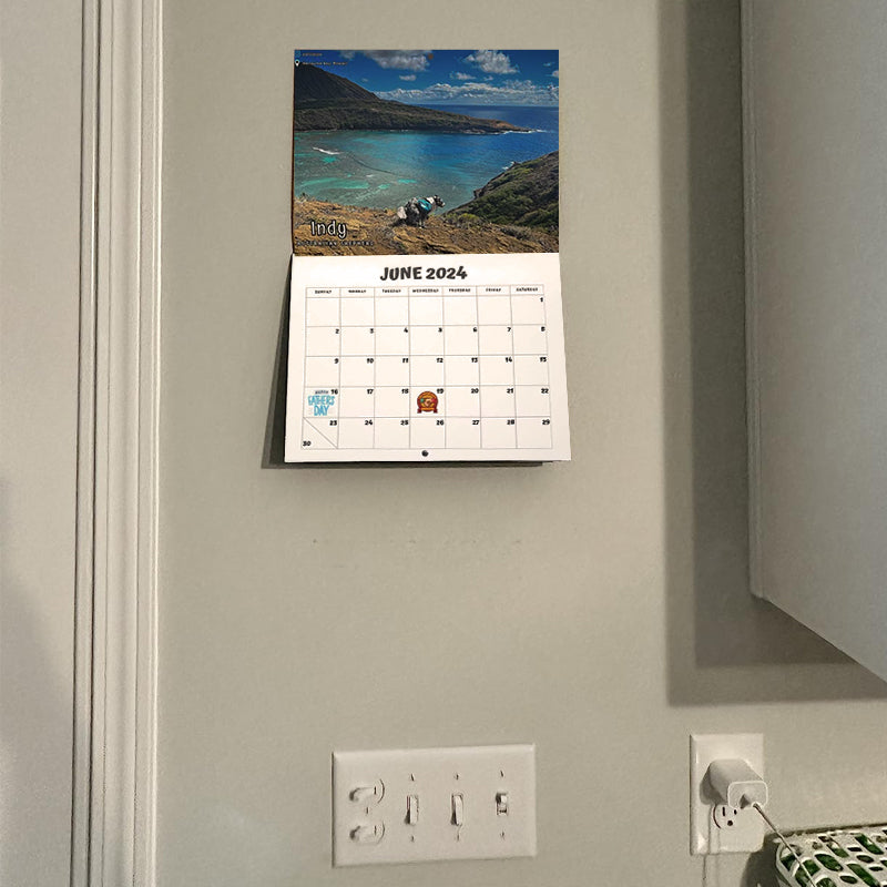 2024 Hundar Bajsar På Vackra Platser Kalender