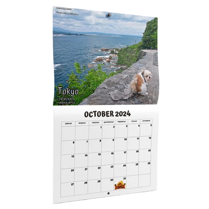2024 Hundar Bajsar På Vackra Platser Kalender
